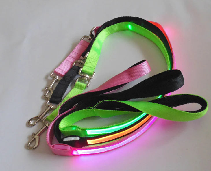 LED Reflective Harness with Leash for Pets