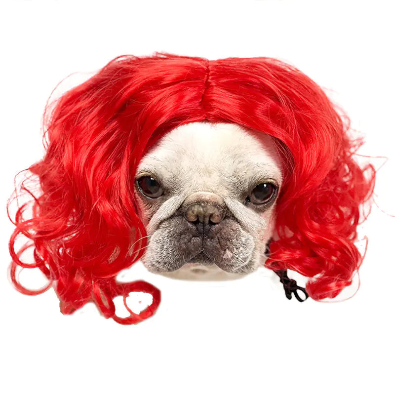 Pet Wigs for Dogs and Cats - Halloween Costumes