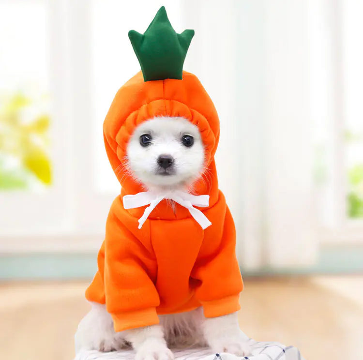 Hooded Fleece Sweater for Puppy and Cat Pets