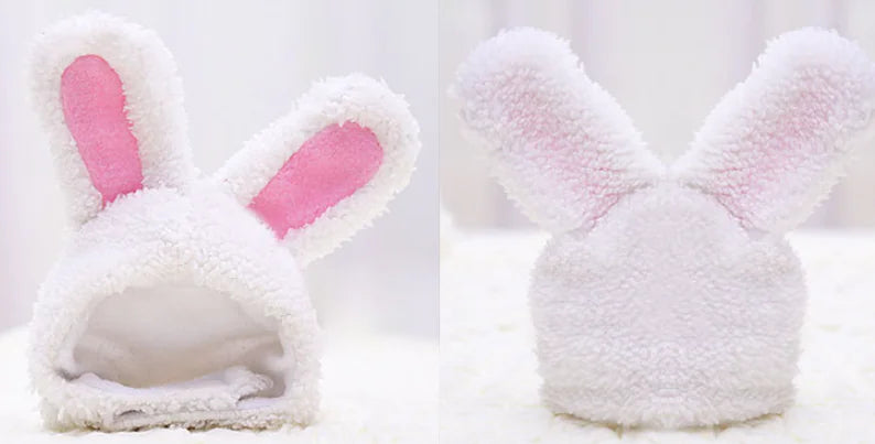 Warm Rabbit Ears Hat for Pets