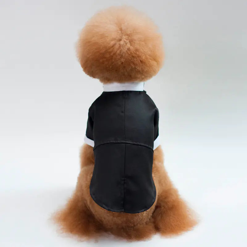 Wedding Suit for Pets - Gentleman Outfit for Pets