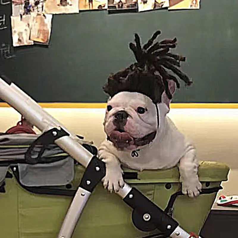 Pet Wigs for Dogs and Cats - Halloween Costumes