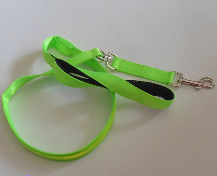 LED Reflective Harness with Leash for Pets