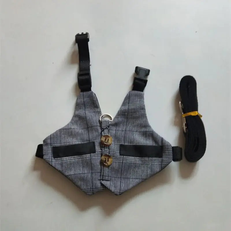 Rabbit Leash and Dress Combo for Pets