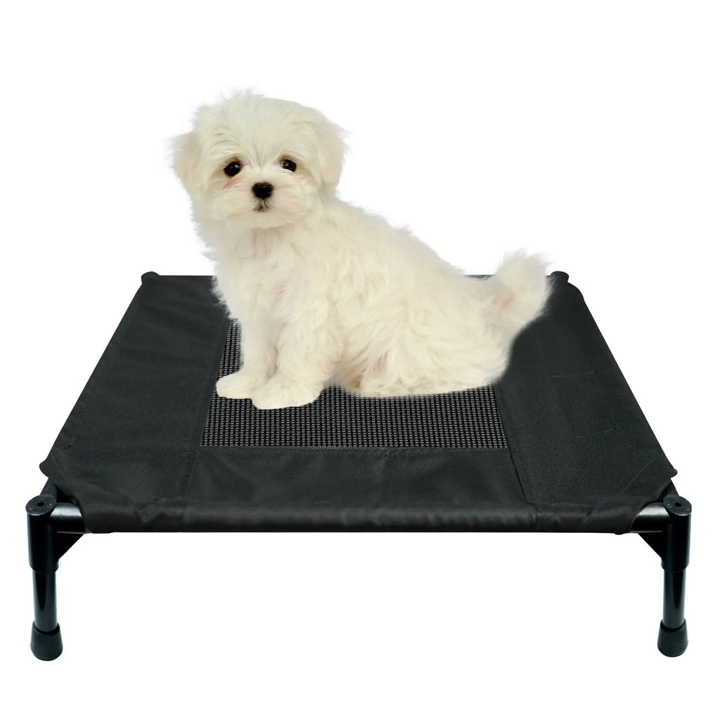 Foldable Moisture-Proof Camp Bed for Pets