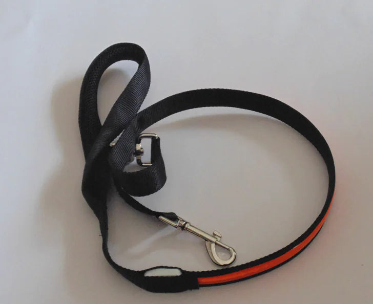 LED Reflective Harness with Leash for Pets