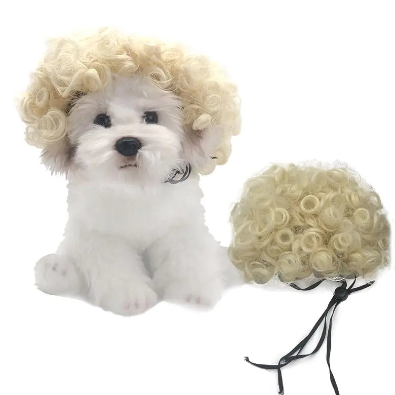Pet Wigs for Dogs and Cats - Halloween Costumes