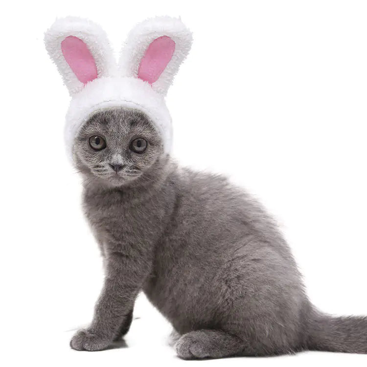 Warm Rabbit Ears Hat for Pets