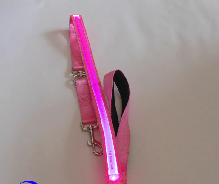 LED Reflective Harness with Leash for Pets