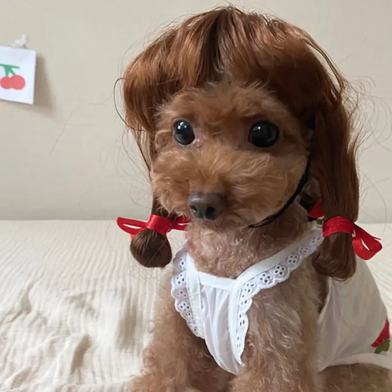Pet Wigs for Dogs and Cats - Halloween Costumes