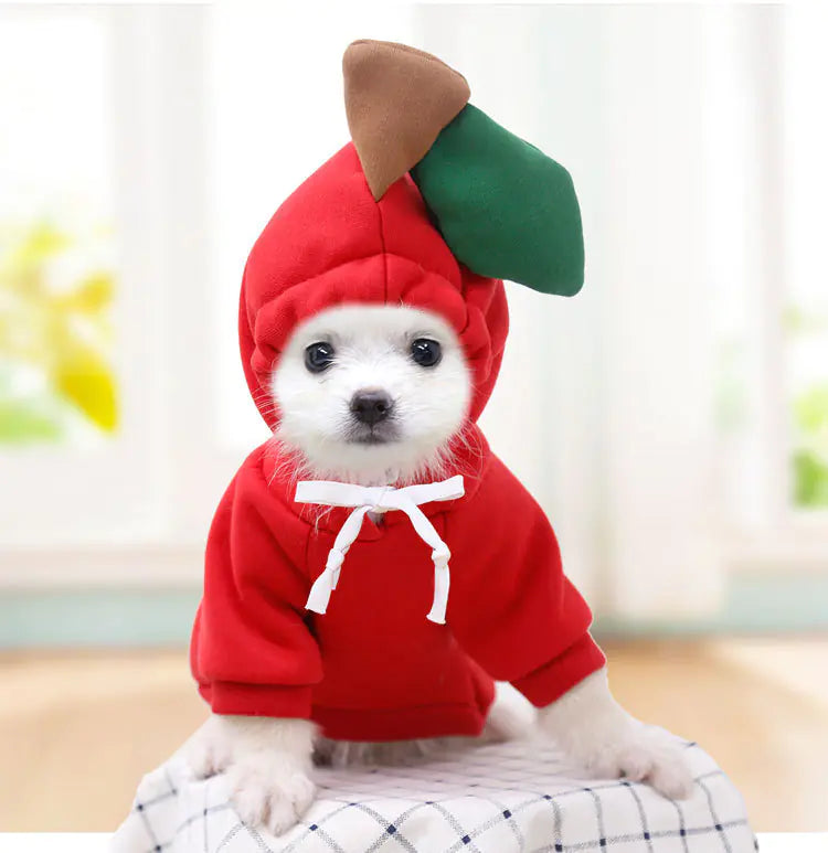 Hooded Fleece Sweater for Puppy and Cat Pets