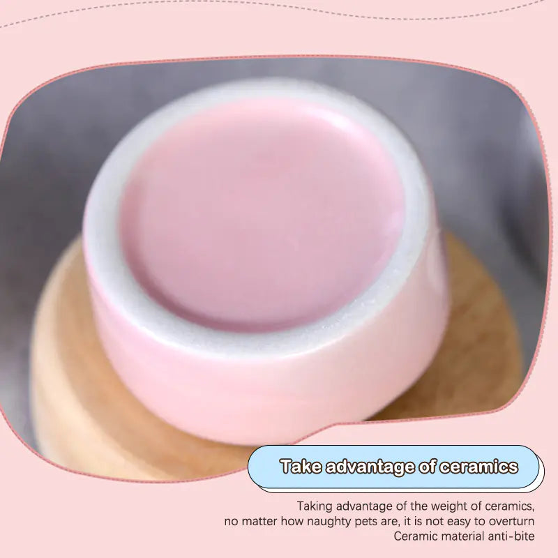 Ceramic Windproof Snack Bowl for Small Pets