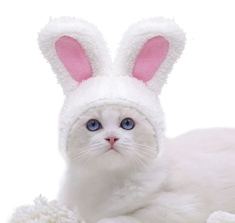 Warm Rabbit Ears Hat for Pets