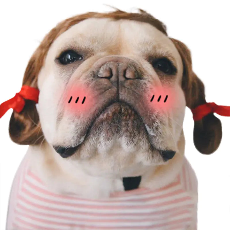 Creative Pet Funny Wig Headgear for Pets