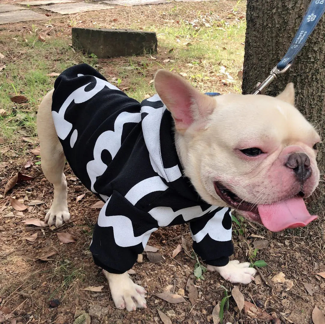 Versatile Black Fashion Clothes for Pets