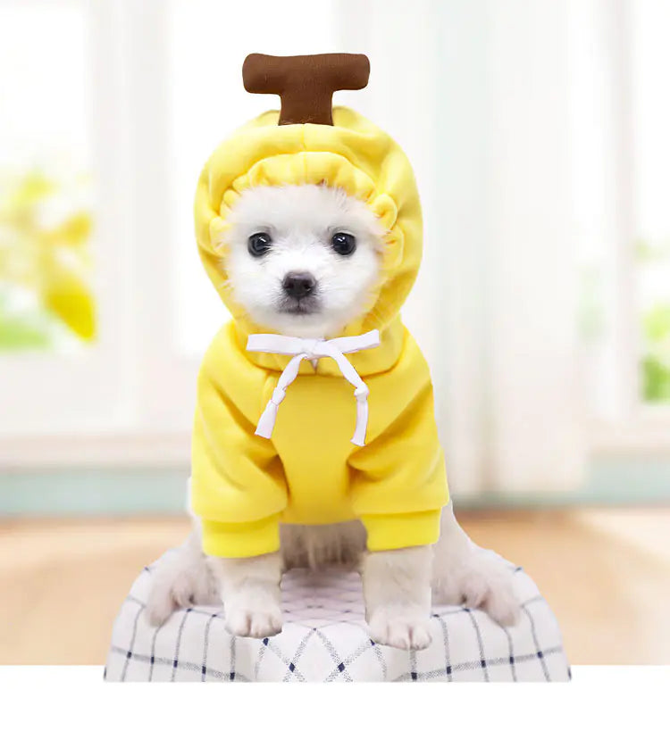 Hooded Fleece Sweater for Puppy and Cat Pets