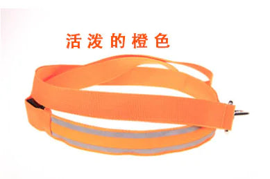 LED Reflective Harness with Leash for Pets