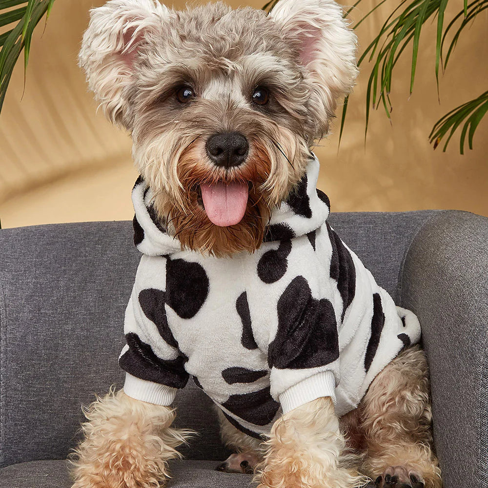 Versatile Black Fashion Clothes for Pets