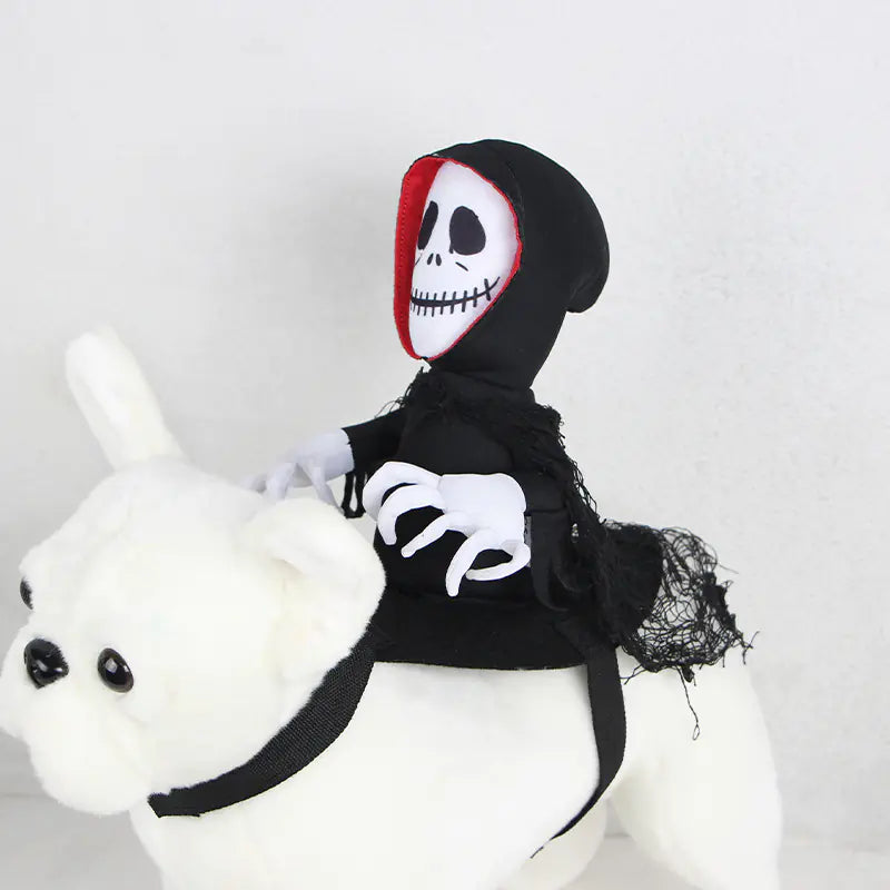 Halloween Pets in Funny Teddy Capes