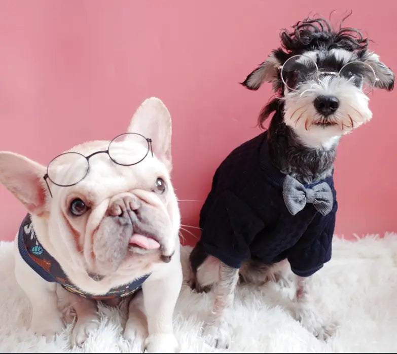 Round Decorative Sunglasses for Pets