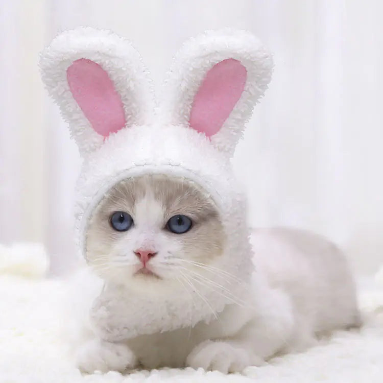 Warm Rabbit Ears Hat for Pets