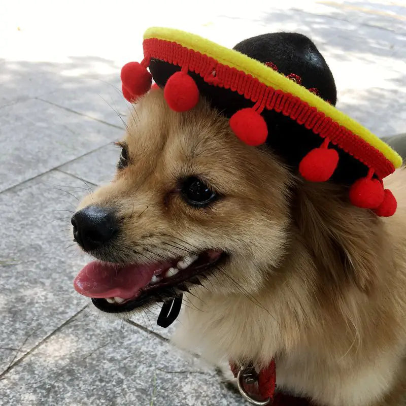 Hot Dog Hats for Pets - New Supplies Collection