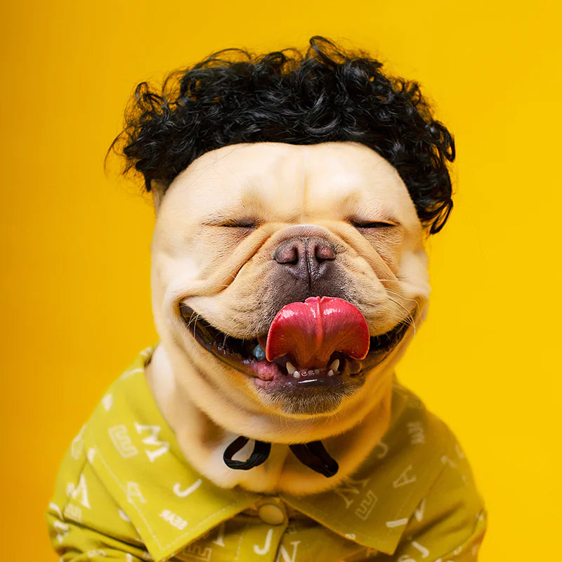 Creative Pet Funny Wig Headgear for Pets