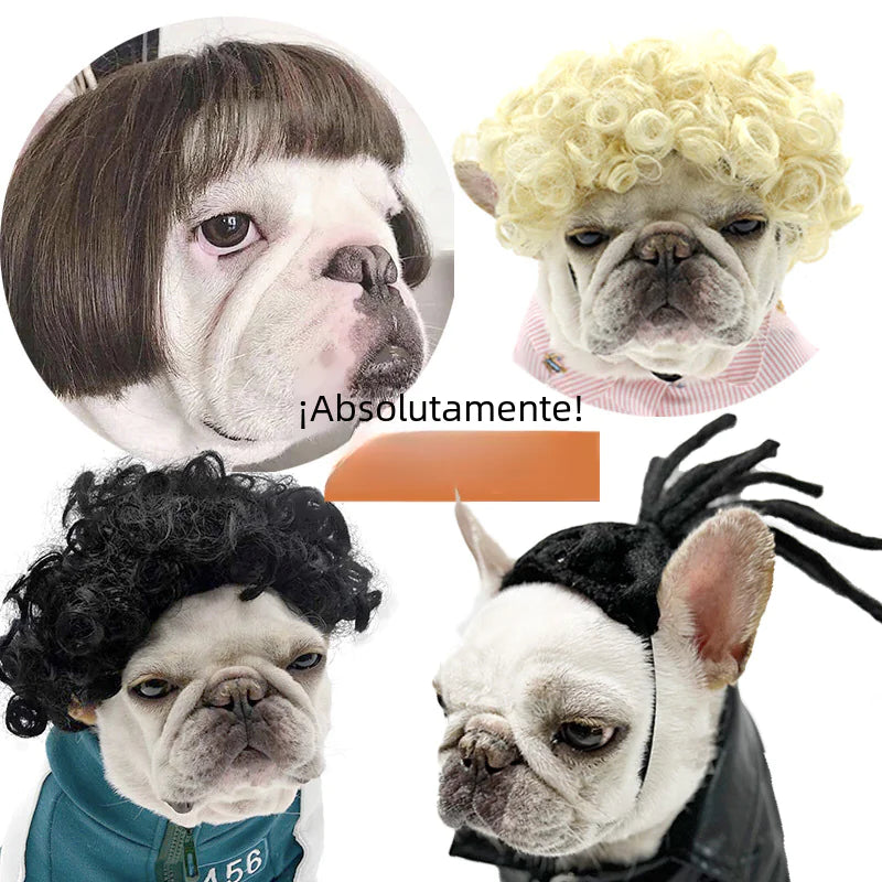 Pet Wigs for Dogs and Cats - Halloween Costumes