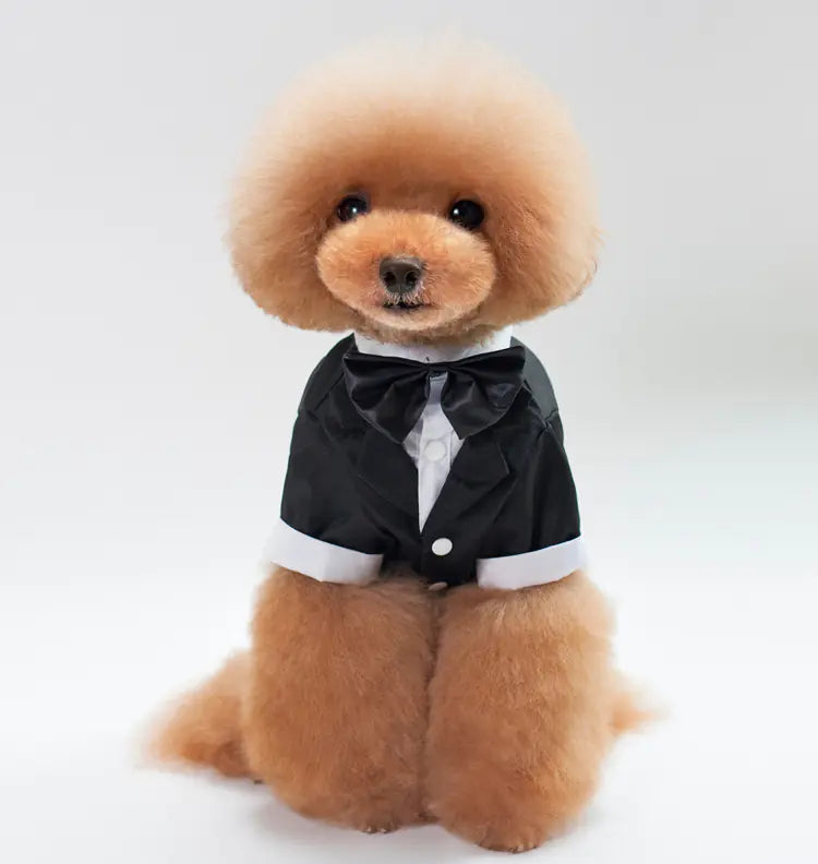 Wedding Suit for Pets - Gentleman Outfit for Pets