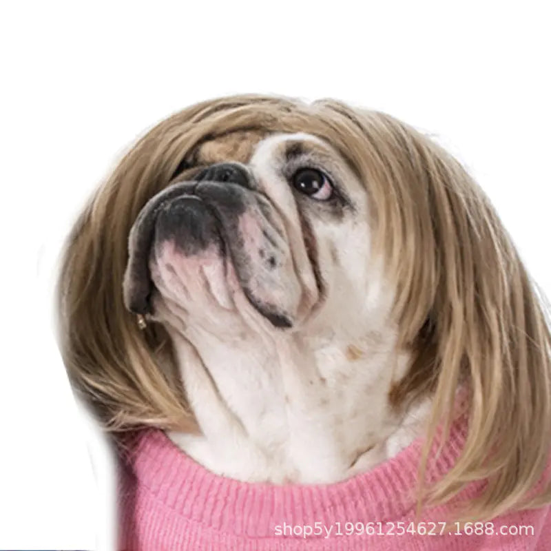 Pet Wigs for Dogs and Cats - Halloween Costumes