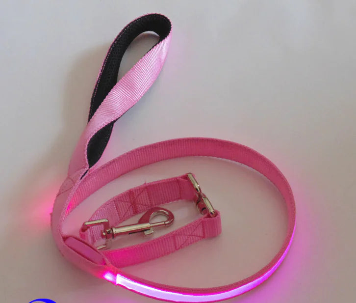 LED Reflective Harness with Leash for Pets