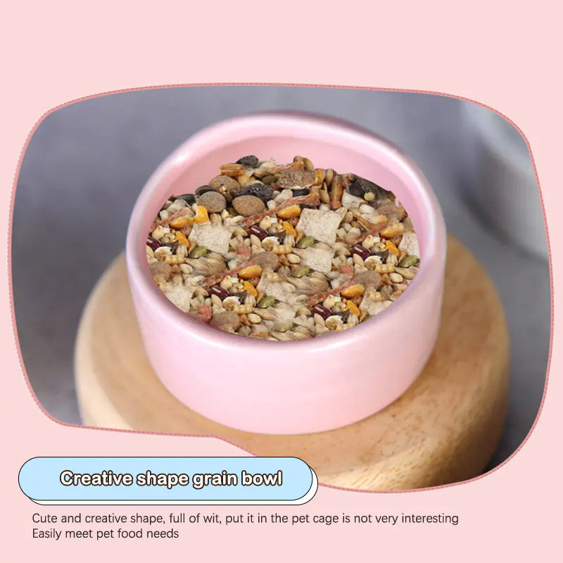 Ceramic Windproof Snack Bowl for Small Pets