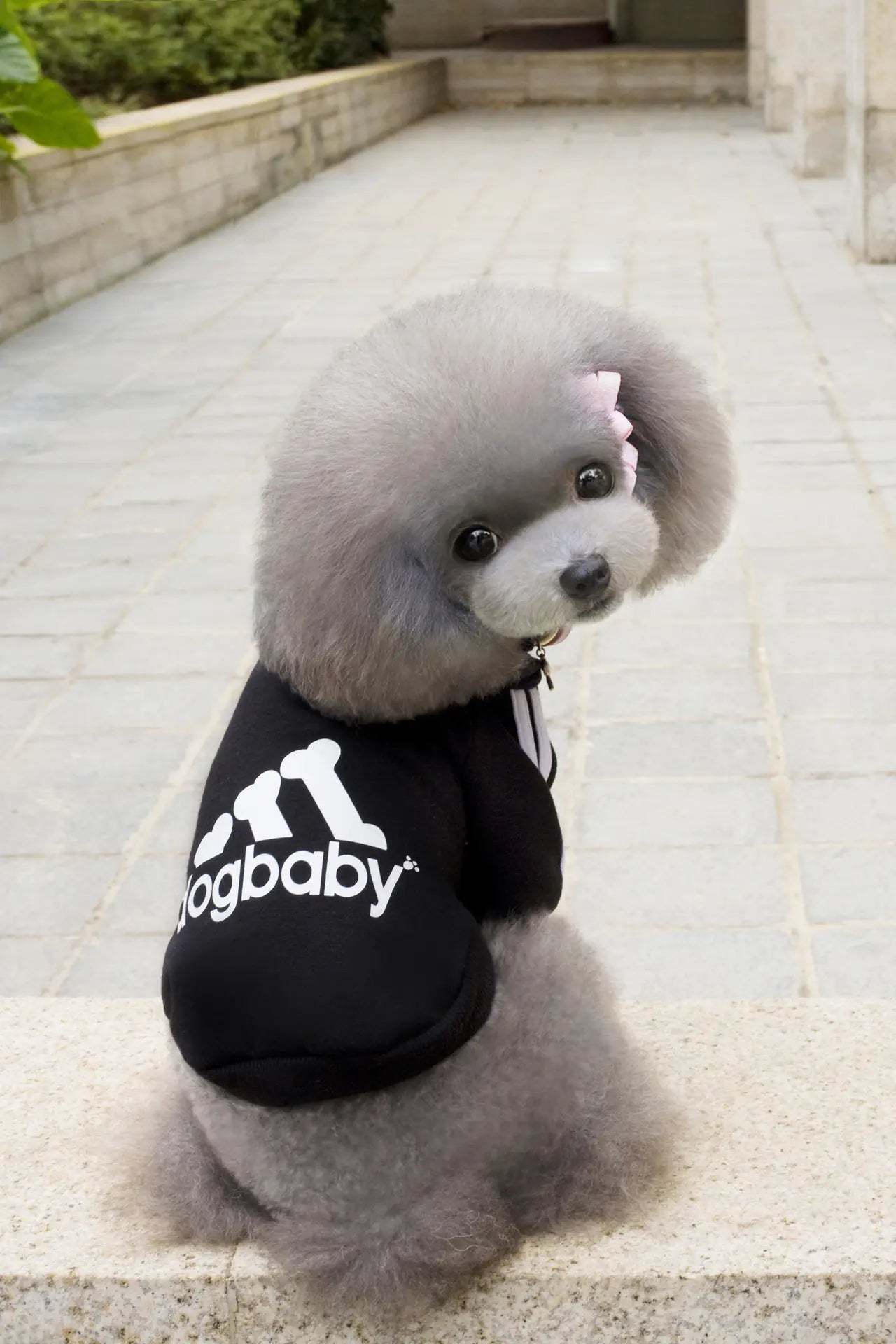 DogBaby Autumn Winter Sports Hoodie for Pets