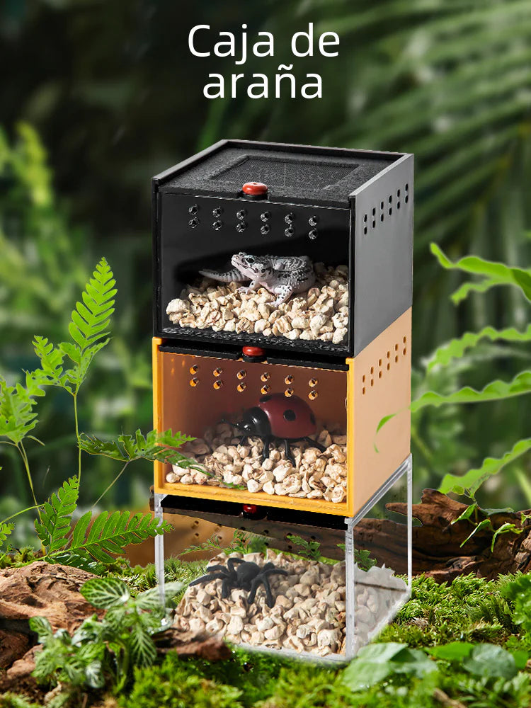 Acrylic Reptile Enclosure for Pets and Insects