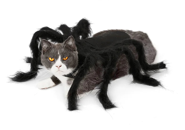 Cat Spider Transformation Costume for Pets