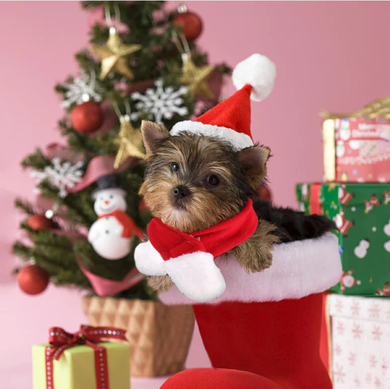 Christmas Outfit, Hat & Scarf Set for Pets