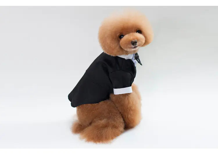 Wedding Suit for Pets - Gentleman Outfit for Pets