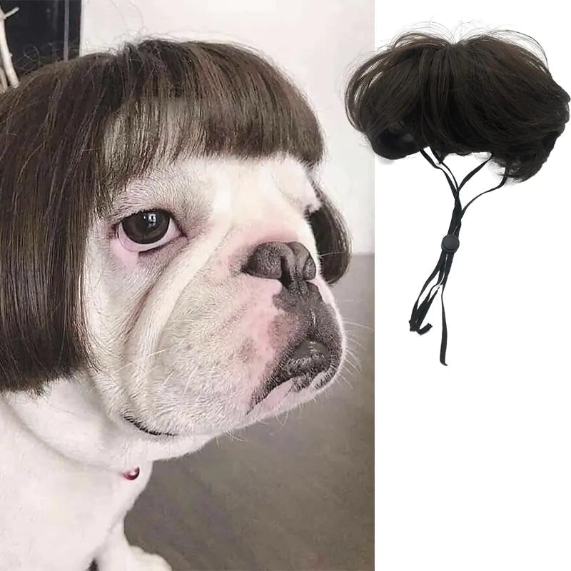 Pet Wigs for Dogs and Cats - Halloween Costumes