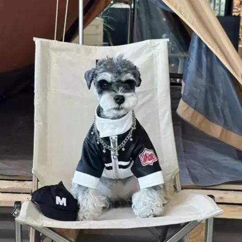 Embroidered Casual Leather Dog Clothes for Pets