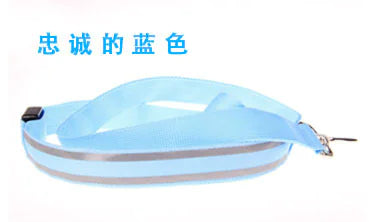 LED Reflective Harness with Leash for Pets