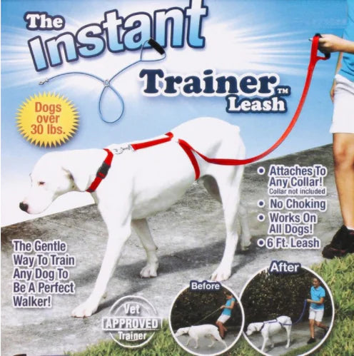Pet Leash and Rope for Pets