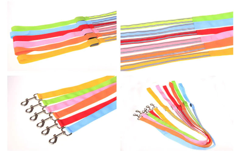 LED Reflective Harness with Leash for Pets